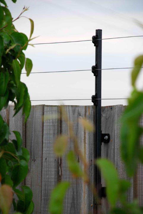 Schrikdraad voor beveiliging tuin