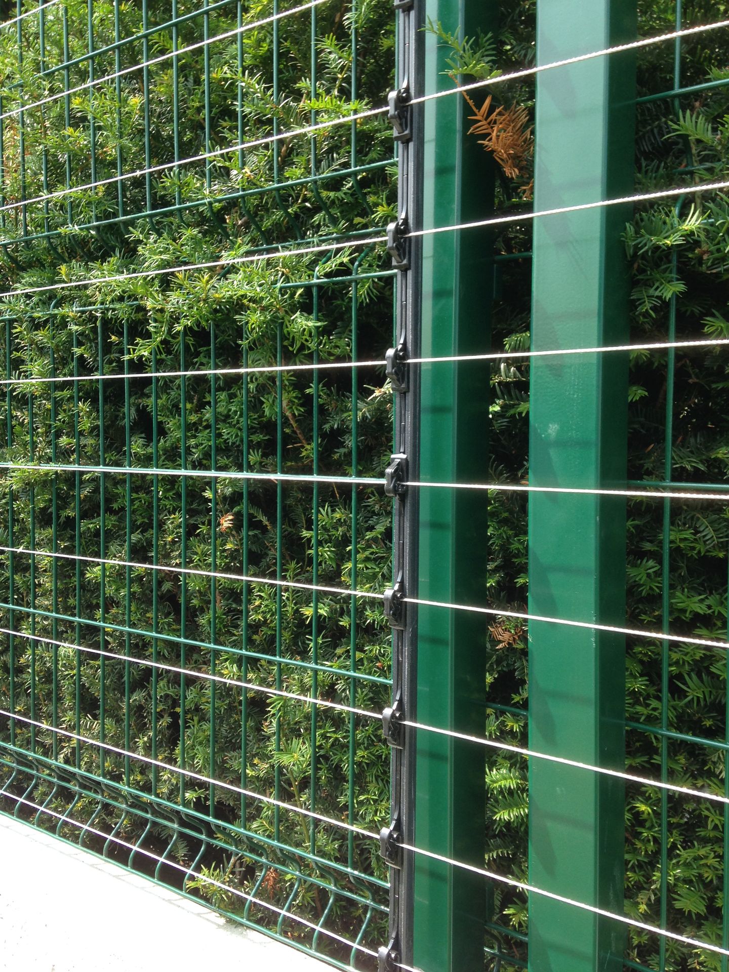 Schrikdraad op groen hekwerk